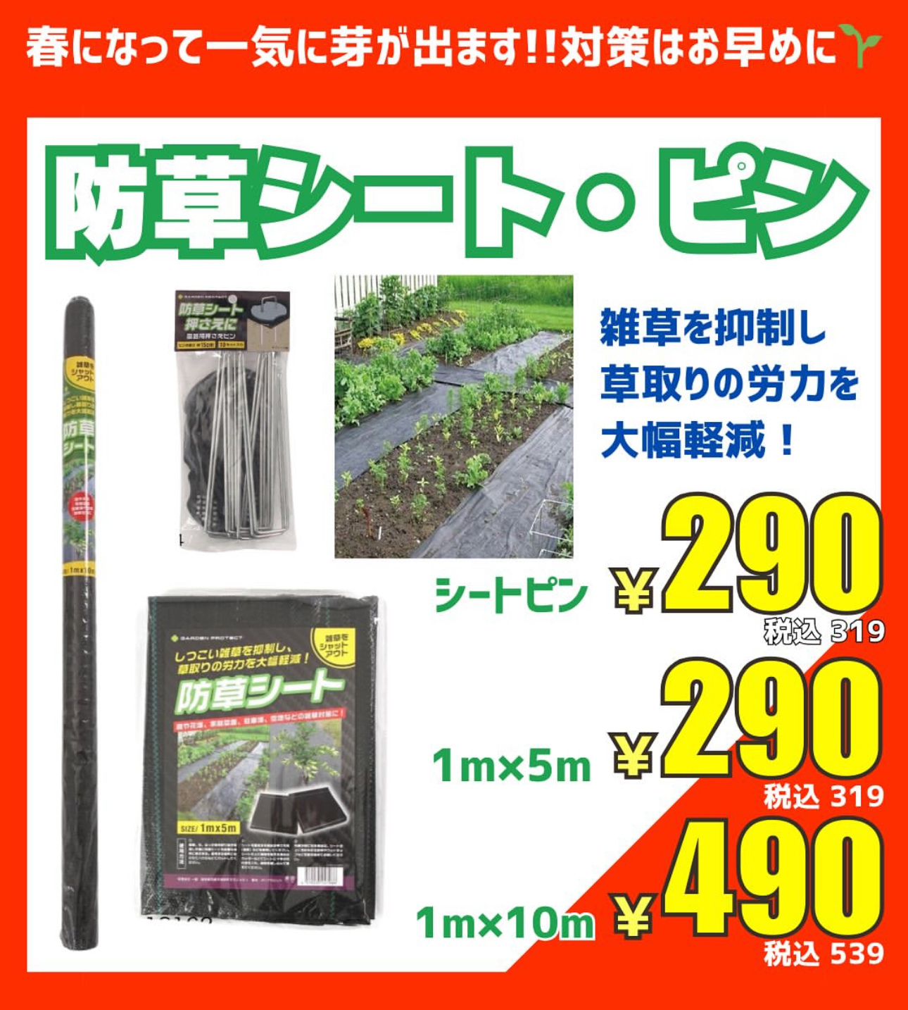 対策はお早めに！