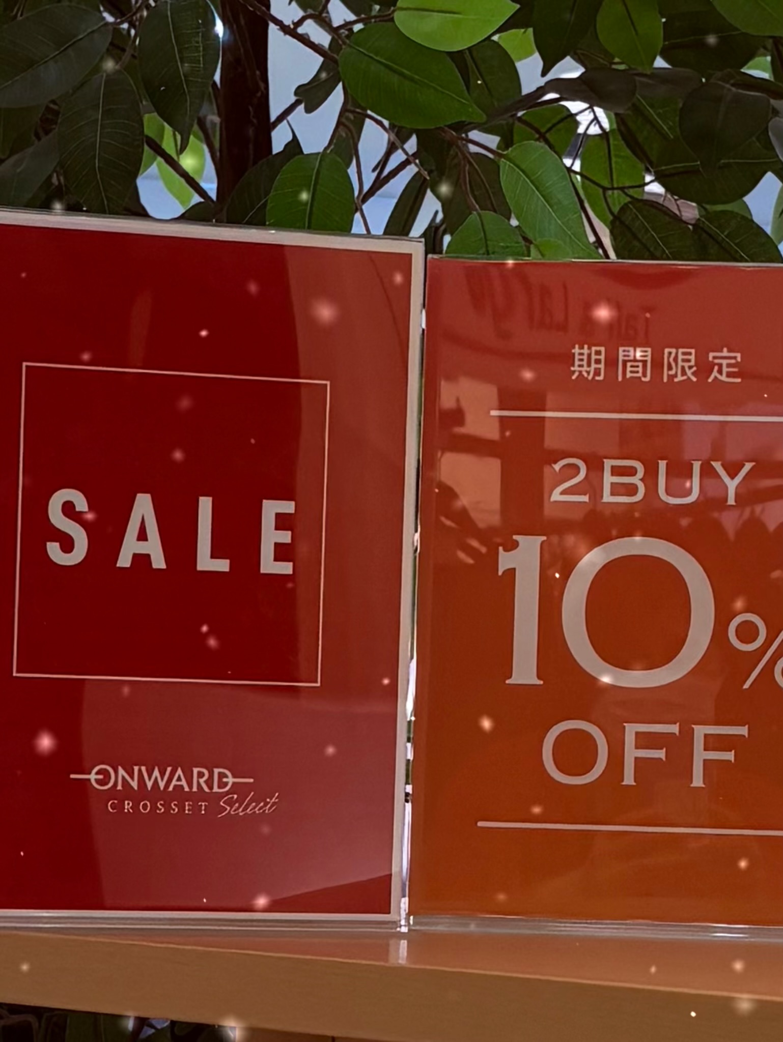 サマークリアランスSALE!!