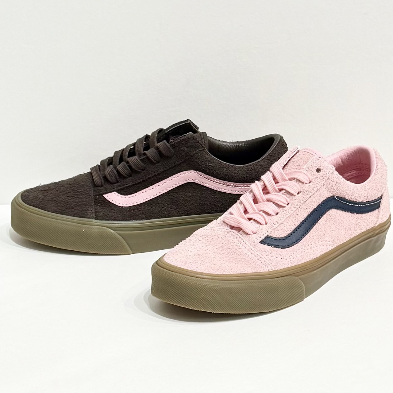 New Arrival !!