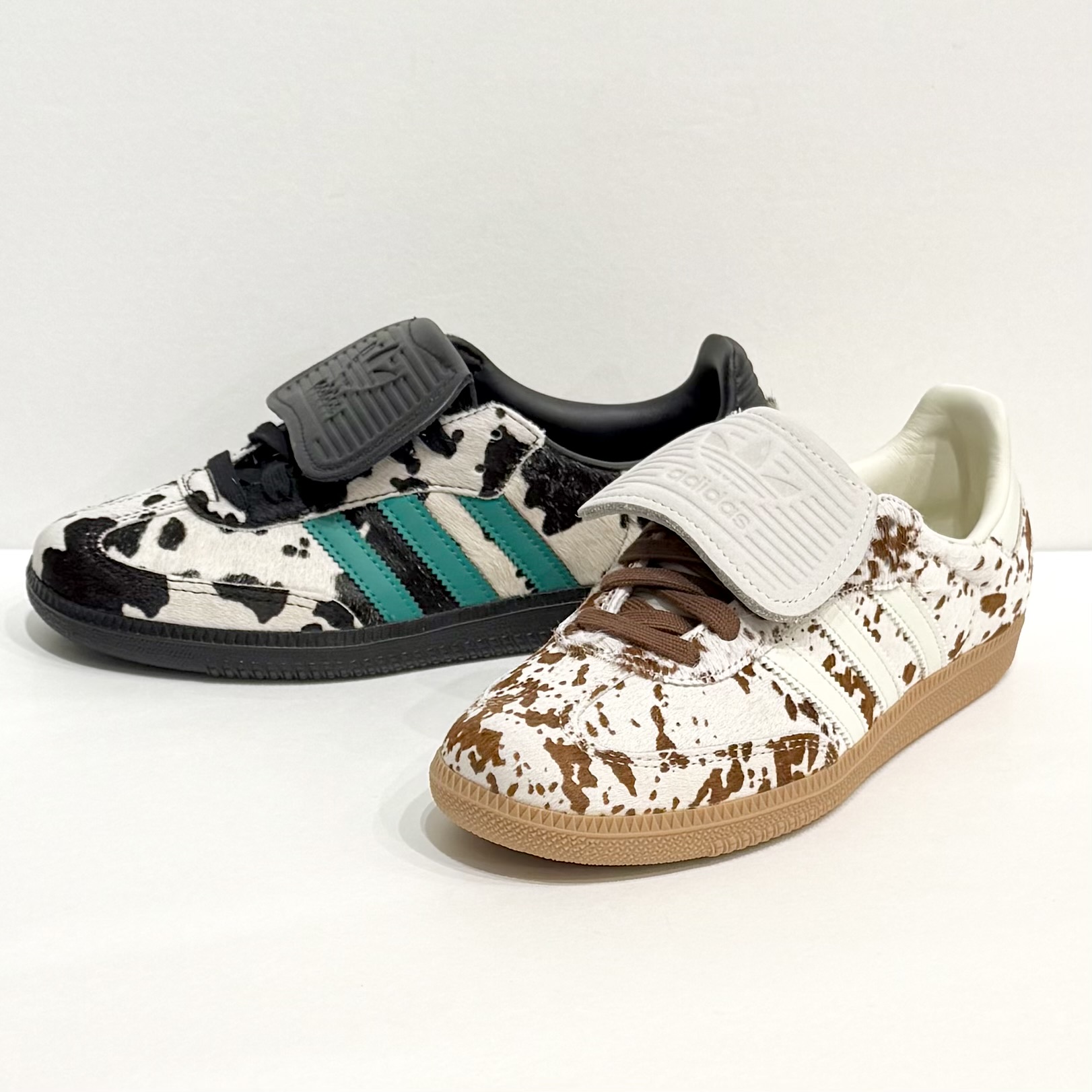 New Arrival !!