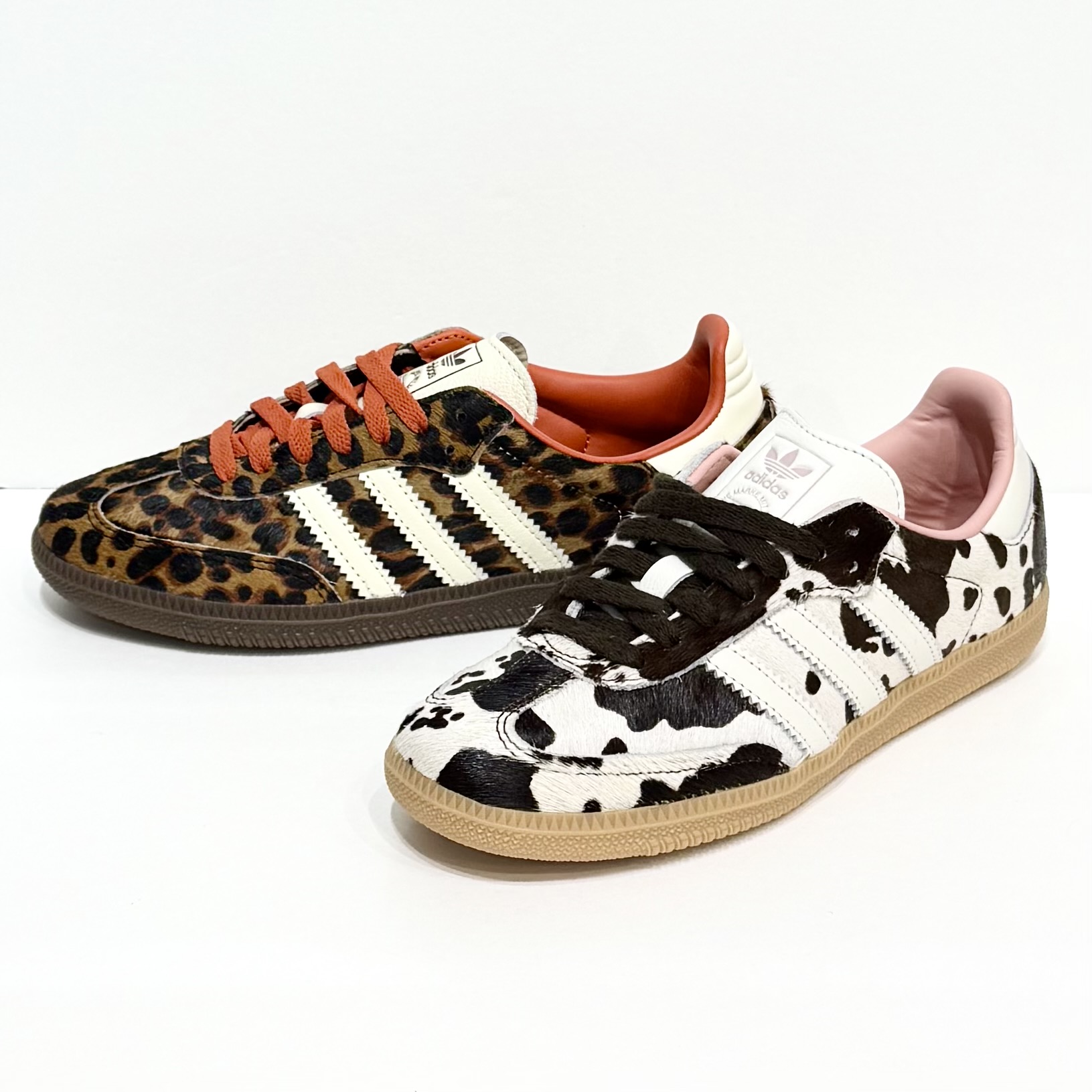New Arrival !!