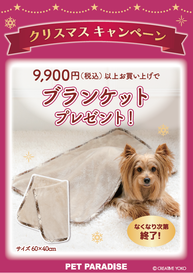 【PET】ブランケットプレゼント