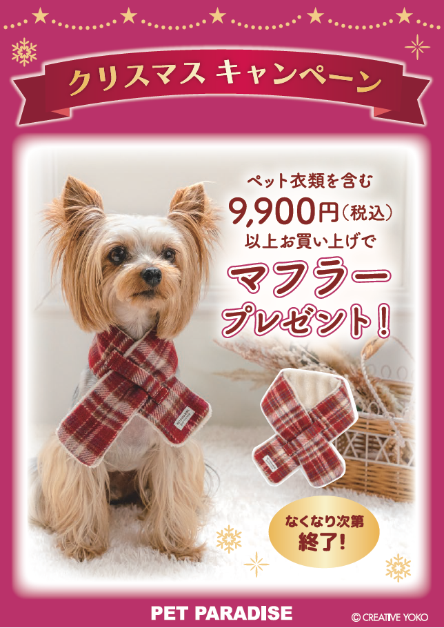 【PET】マフラープレゼント