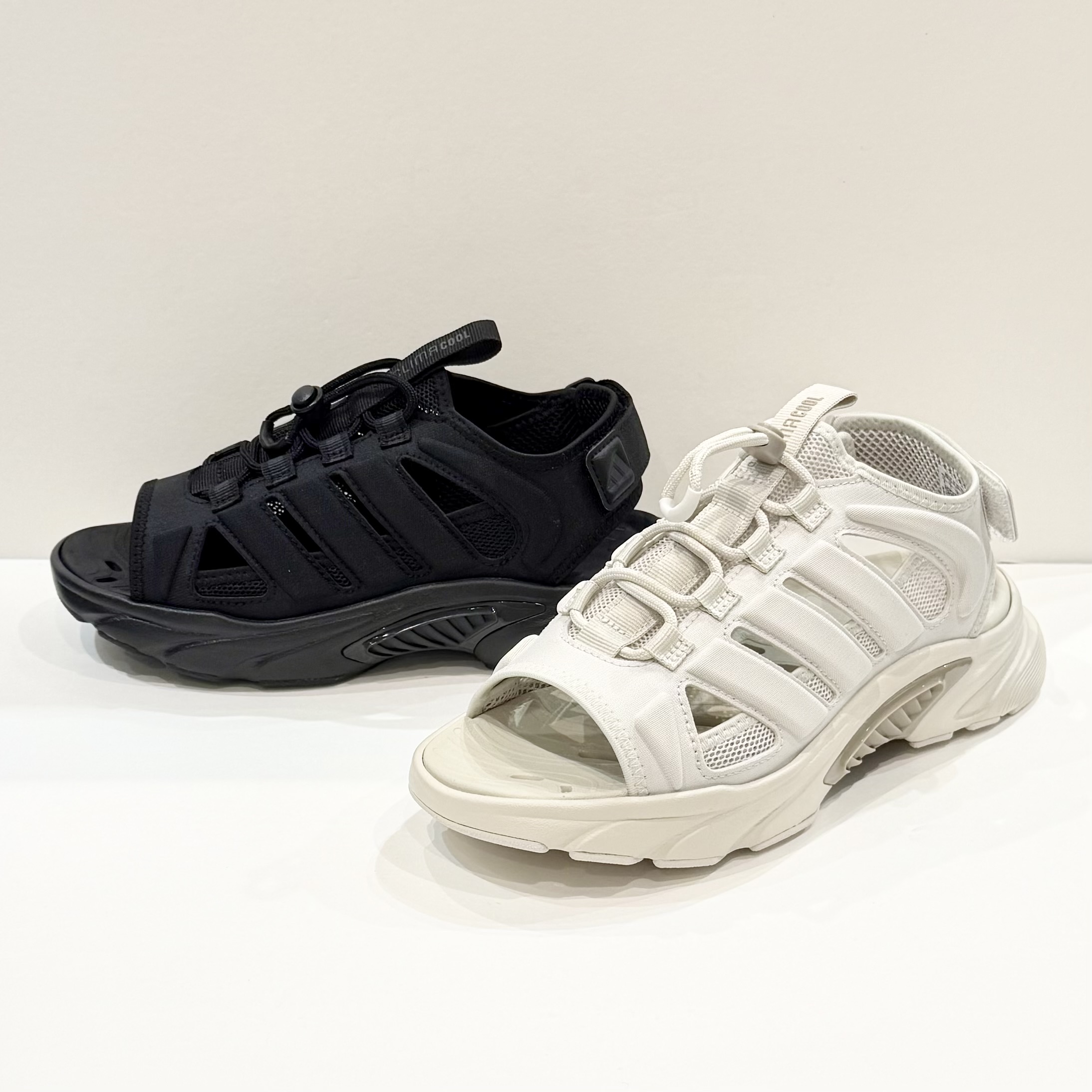 New Arrival !!