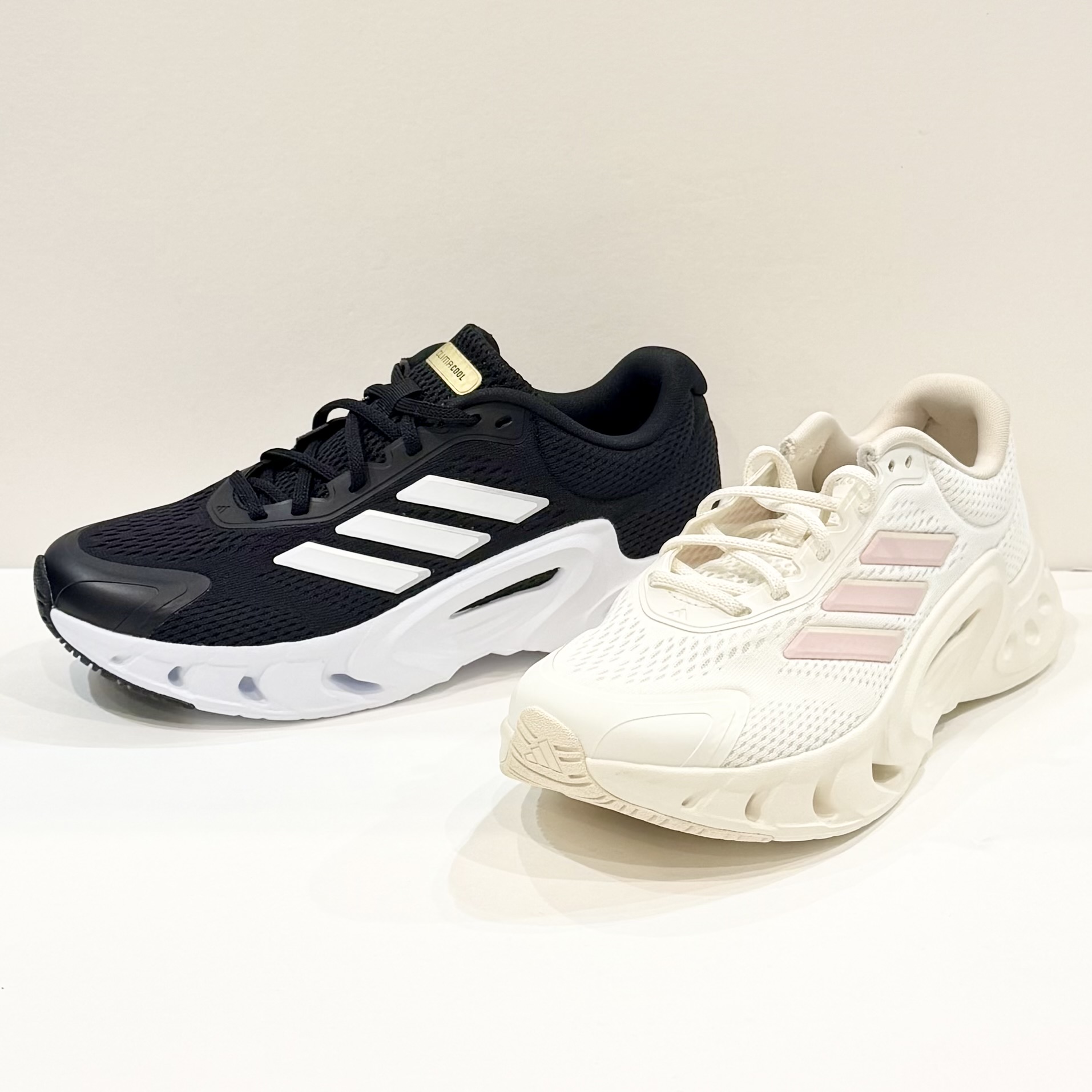 New Arrival !!