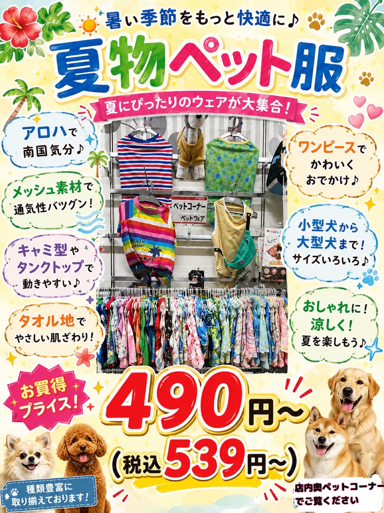 ペットも夏気分♪