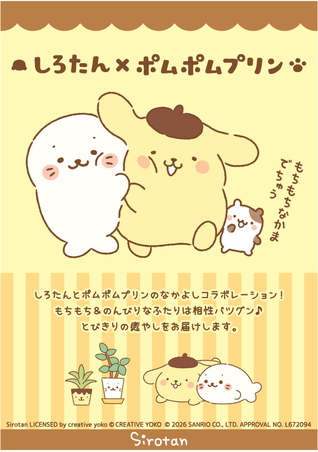 【しろたん】ポムポムプリン×しろたん
