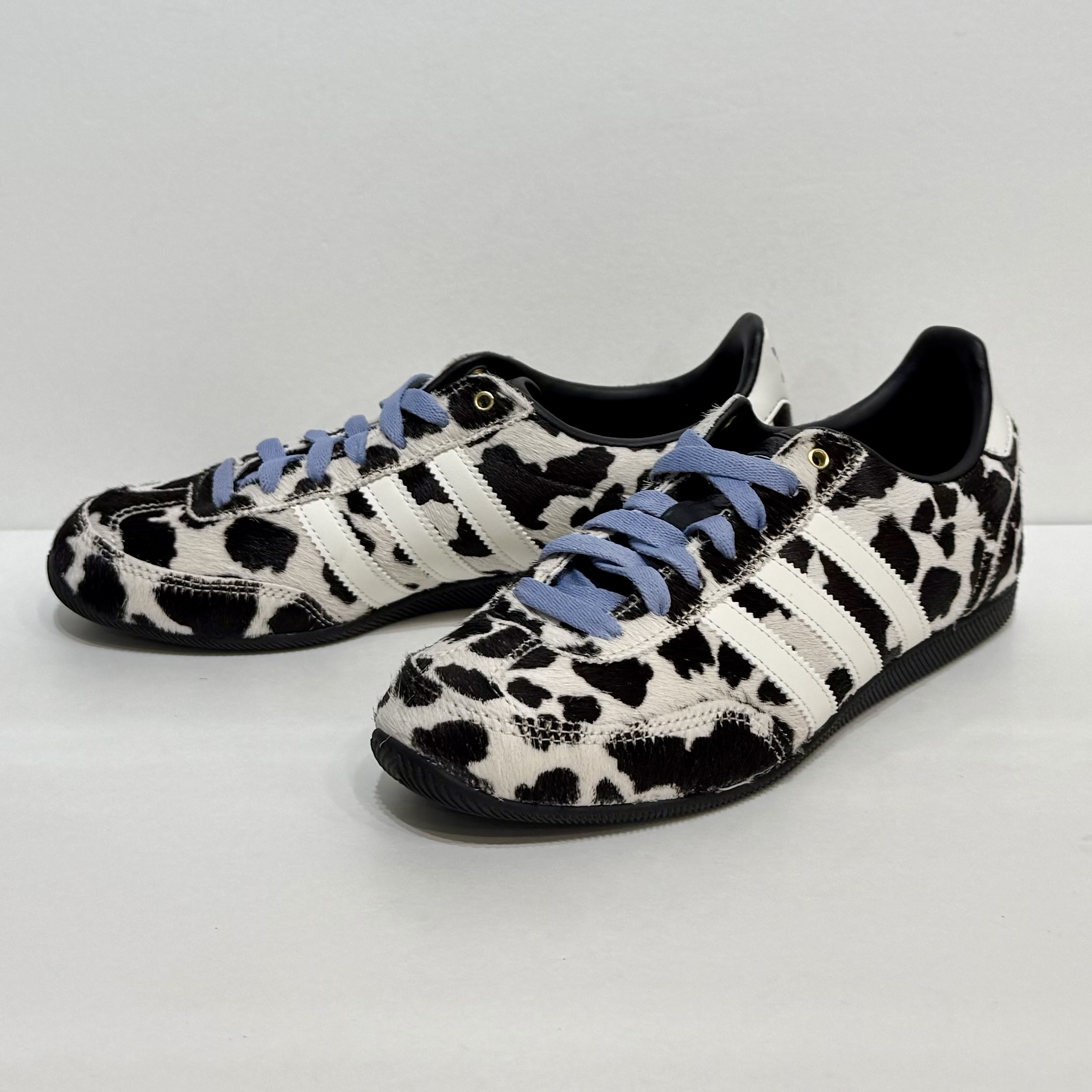 New Arrival !!